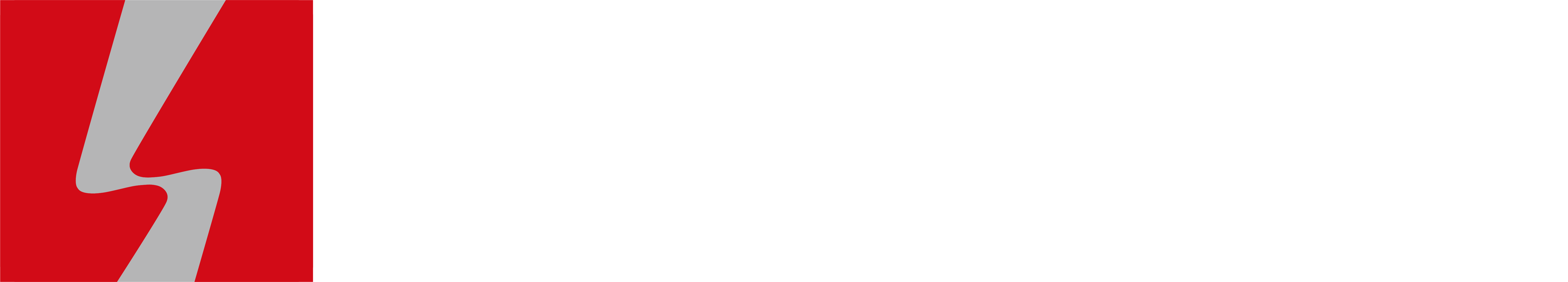 logo__white